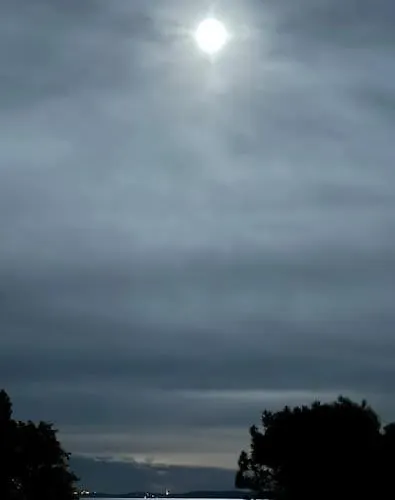 T3 Vue Les Pieds Dans L'eau, Piscine, Clim Apartamento