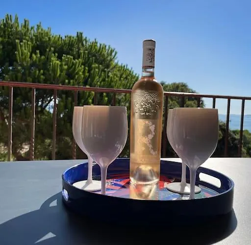 T3 Vue Les Pieds Dans L'eau, Piscine, Clim Apartamento *