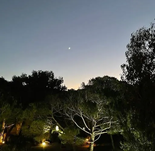 T3 Vue Les Pieds Dans L'eau, Piscine, Clim Apartamento Hyères