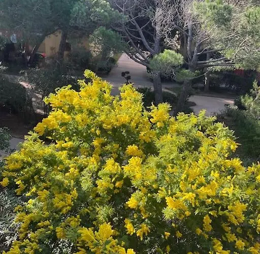 Apartamento T3 Vue Les Pieds Dans L'eau, Piscine, Clim Hyères