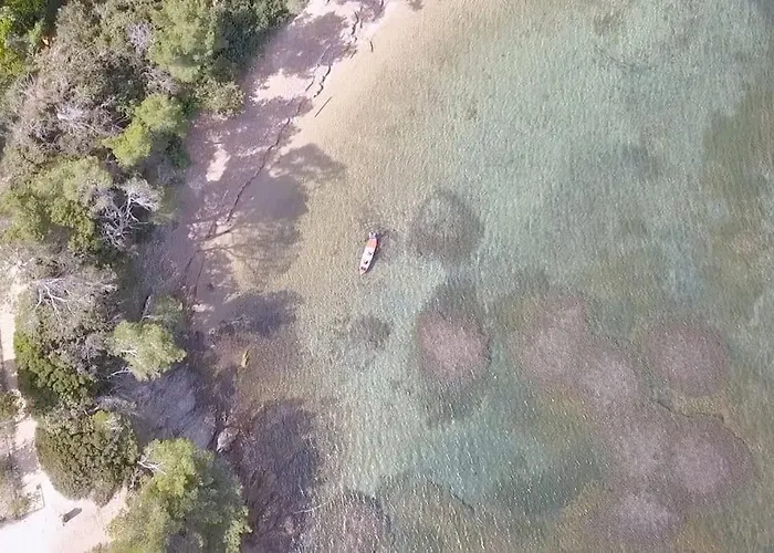T3 Vue Les Pieds Dans L'eau, Piscine, Clim * Hyères