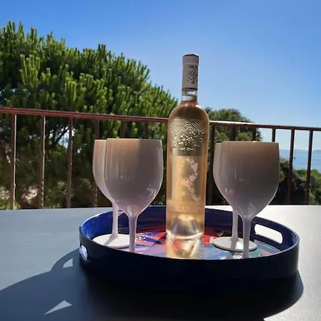 T3 Vue Les Pieds Dans L'eau, Piscine, Clim アパート *