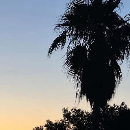 T3 Vue Les Pieds Dans L'eau, Piscine, Clim アパート イエール