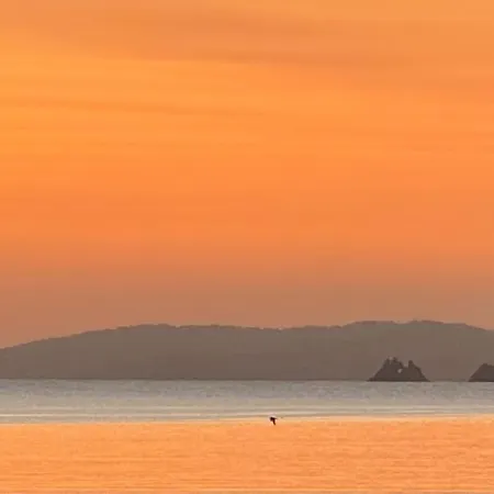 公寓 T3 Vue Les Pieds Dans L'eau, Piscine, Clim 耶尔