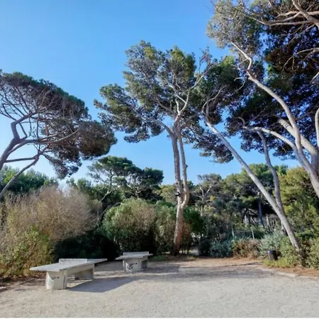 T3 Vue Les Pieds Dans L'eau, Piscine, Clim Apartment