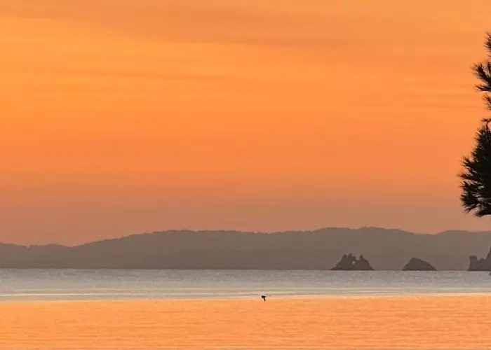 公寓 T3 Vue Les Pieds Dans L'eau, Piscine, Clim 耶尔