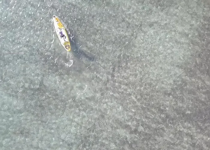 公寓 T3 Vue Les Pieds Dans L'eau, Piscine, Clim *