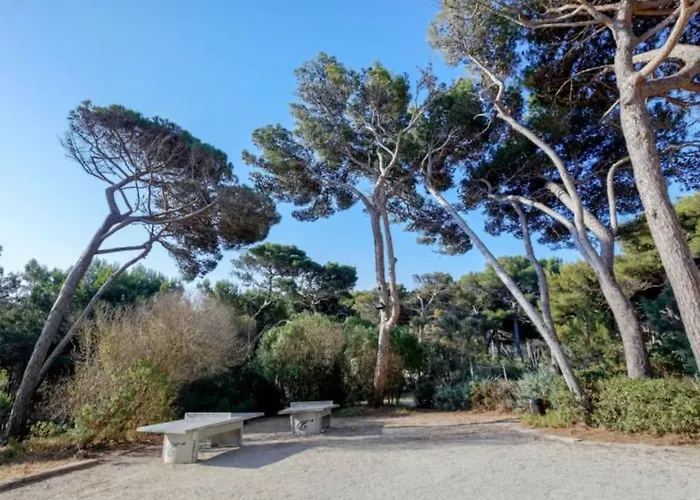 T3 Vue Les Pieds Dans L'eau, Piscine, Clim 公寓