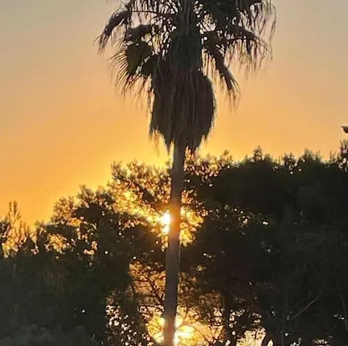 公寓 T3 Vue Les Pieds Dans L'eau, Piscine, Clim *